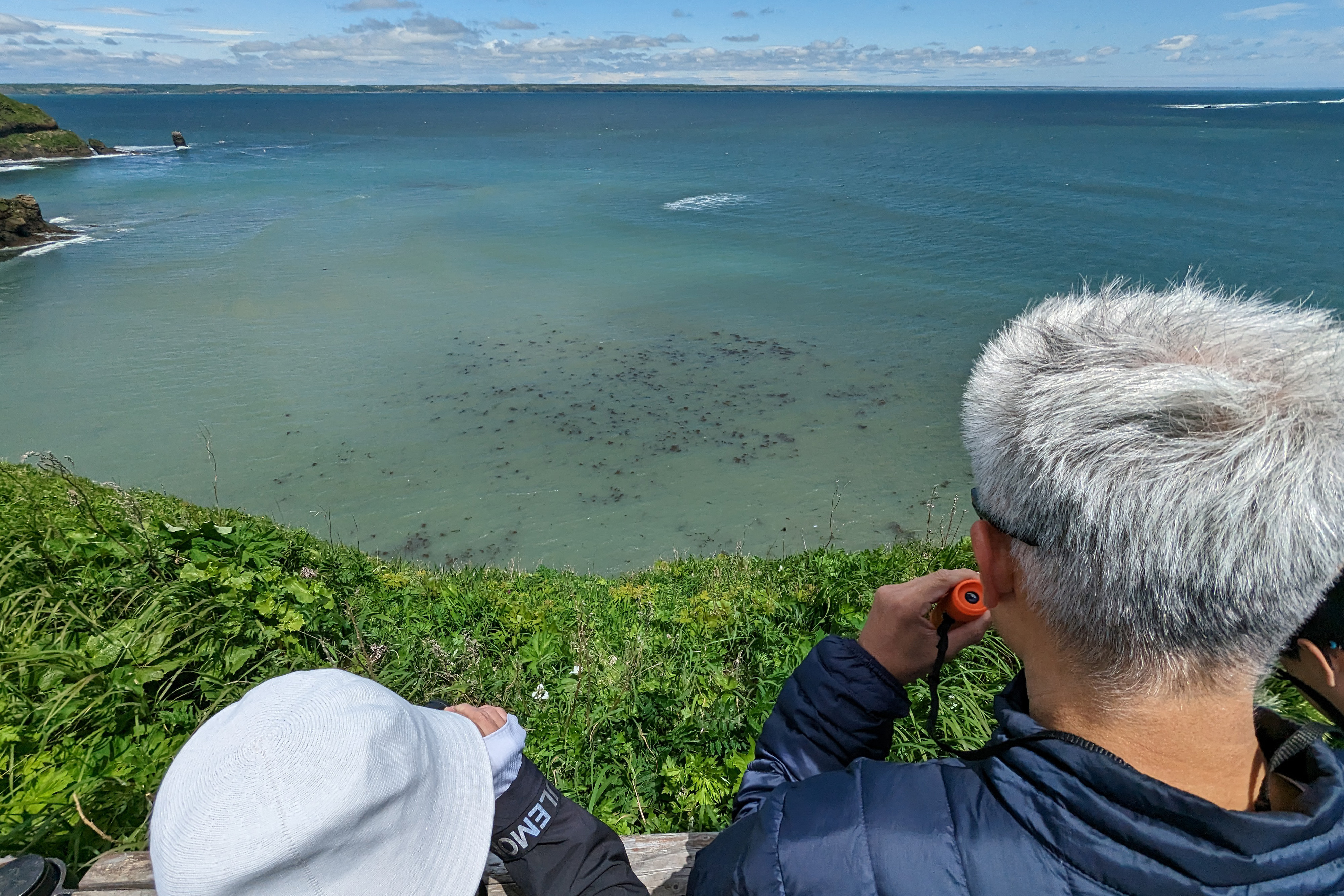 Two wildlife watchers search for Sea Otters along the pacific coast of Hokkaido