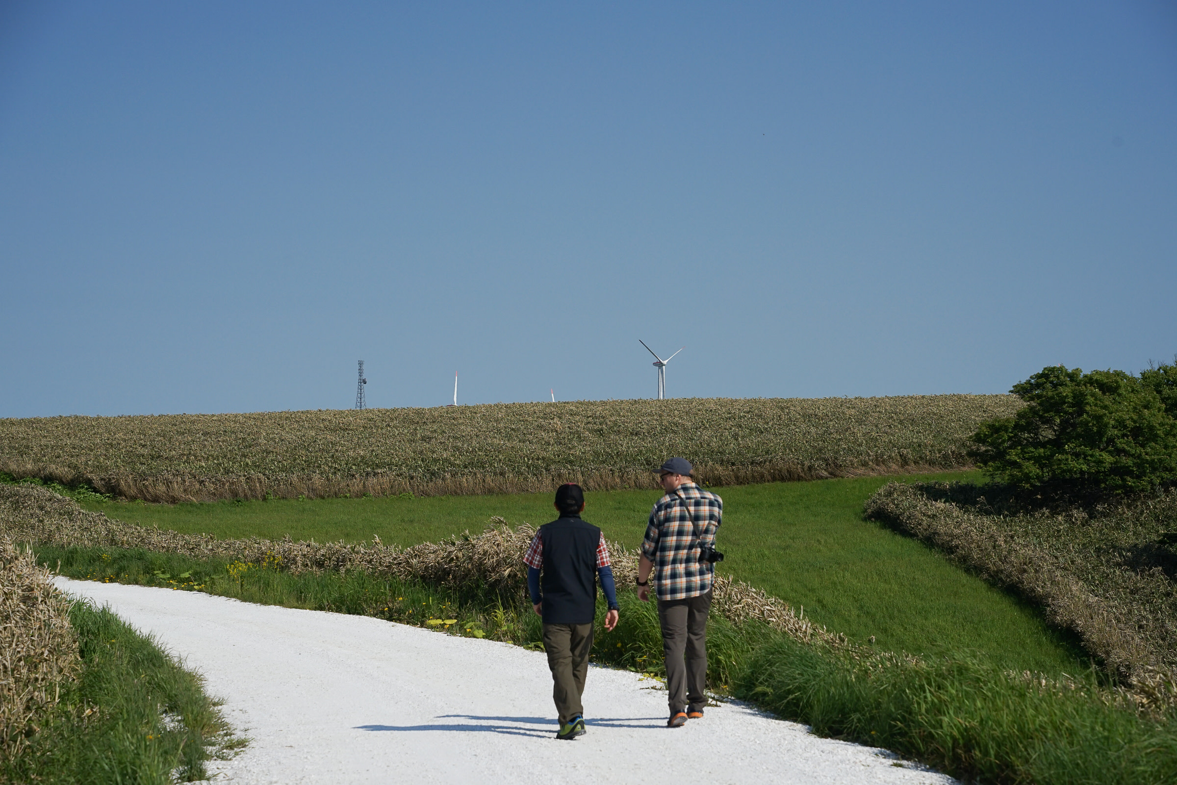 Richard and Tobaji walk along a white path on a sunny day.