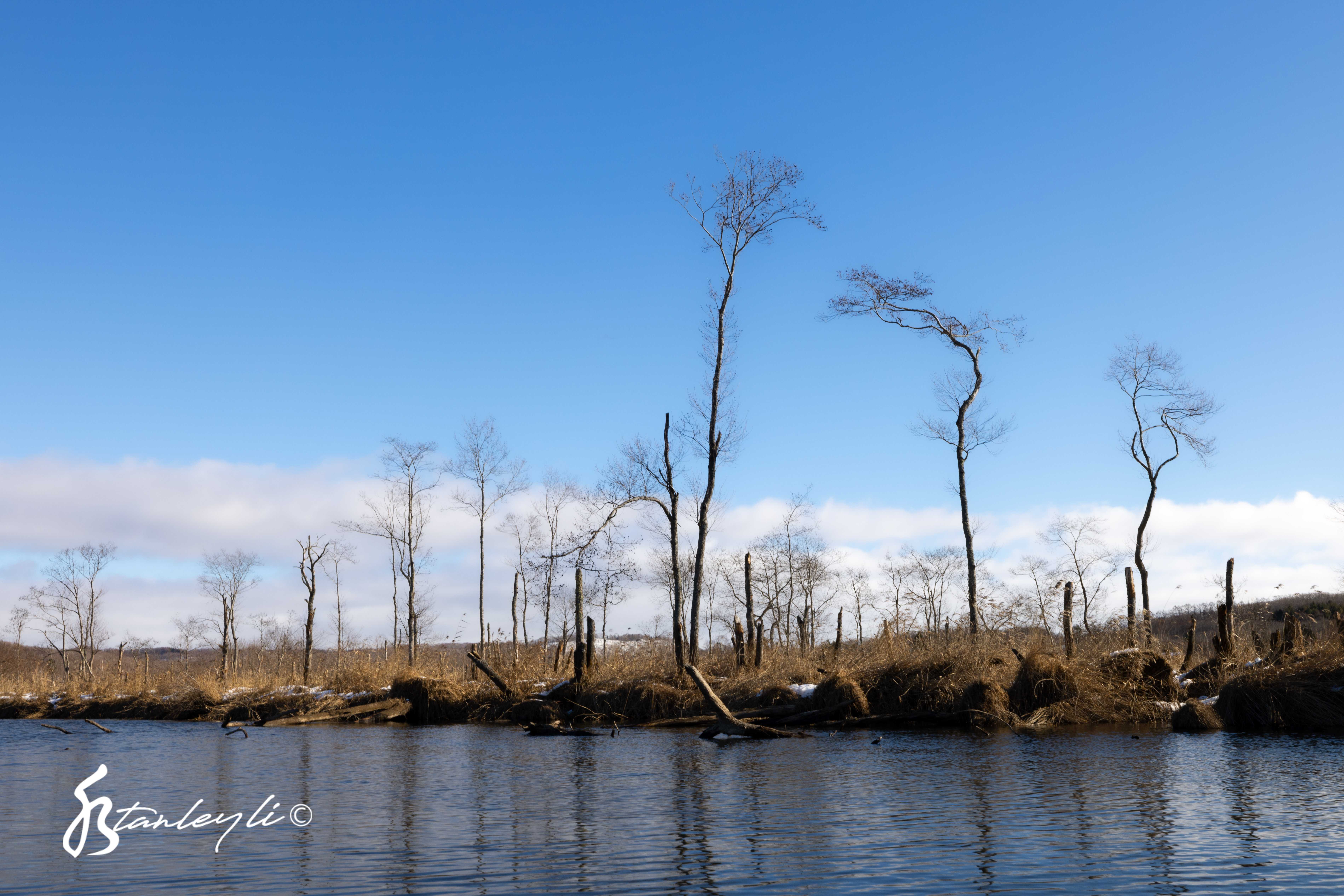 Trees line a river in the Kushiro Wetland. ©️ Stanley Li