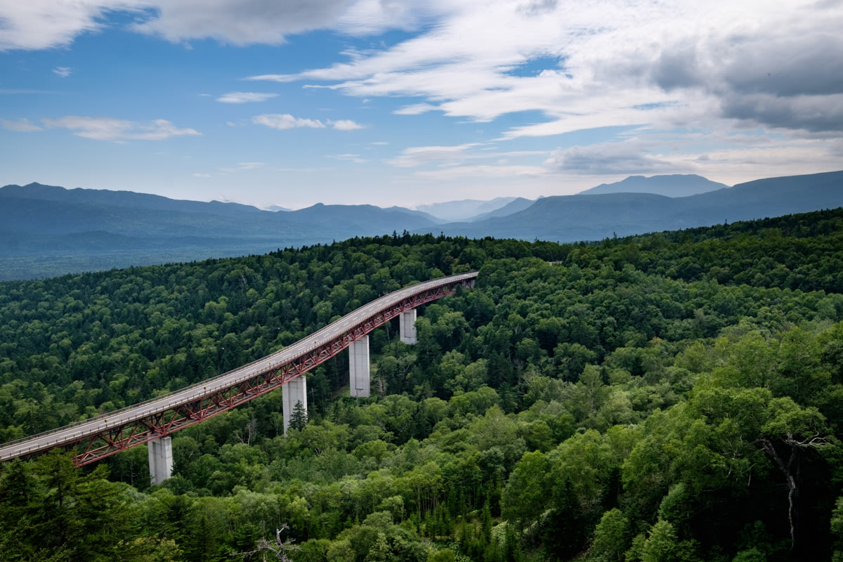 A bridge rises above birch forest with mountains seen in the distance