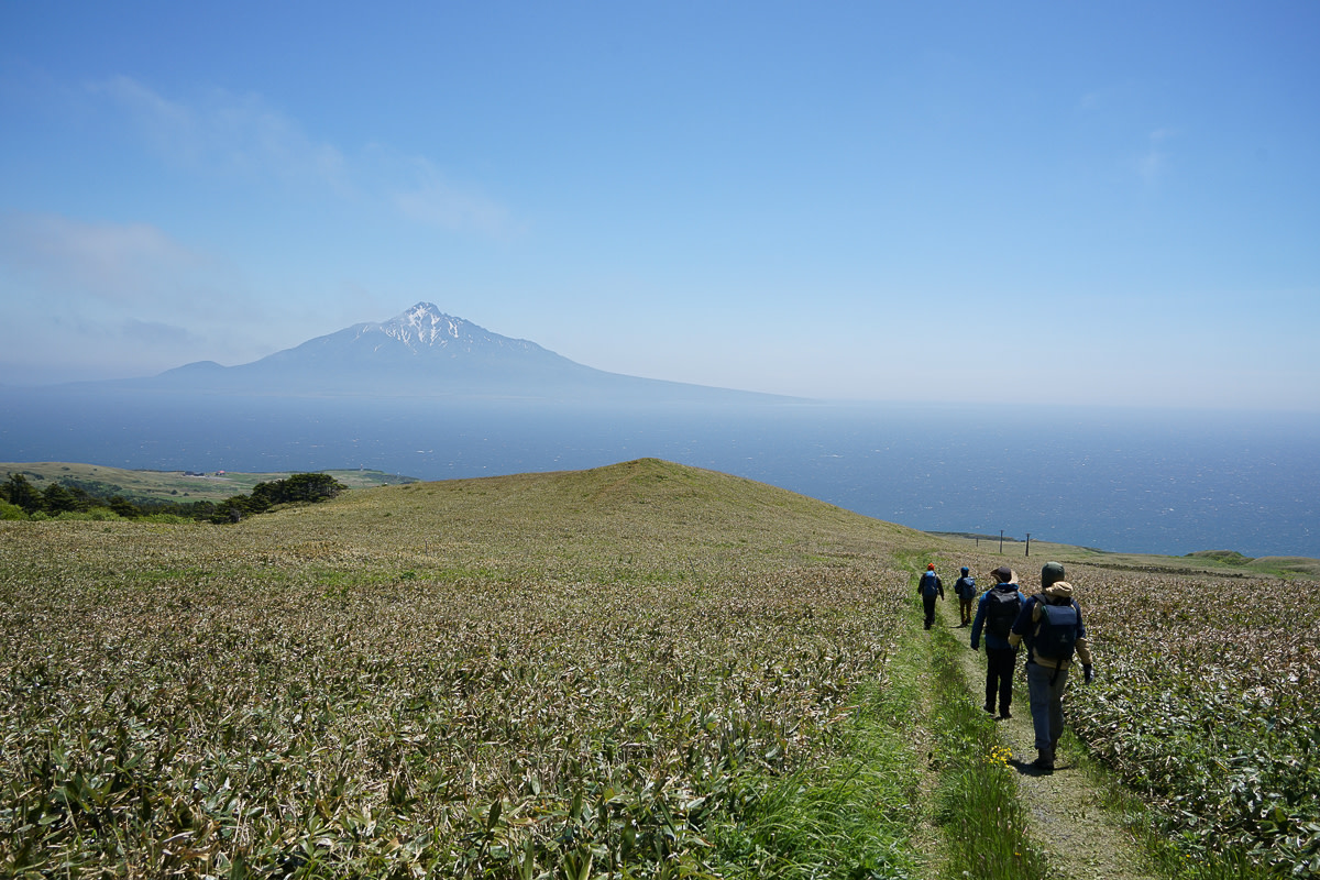 A group of hikers walks along the Momoiwa trail on Rebun Island with views of Mt Rishiri
