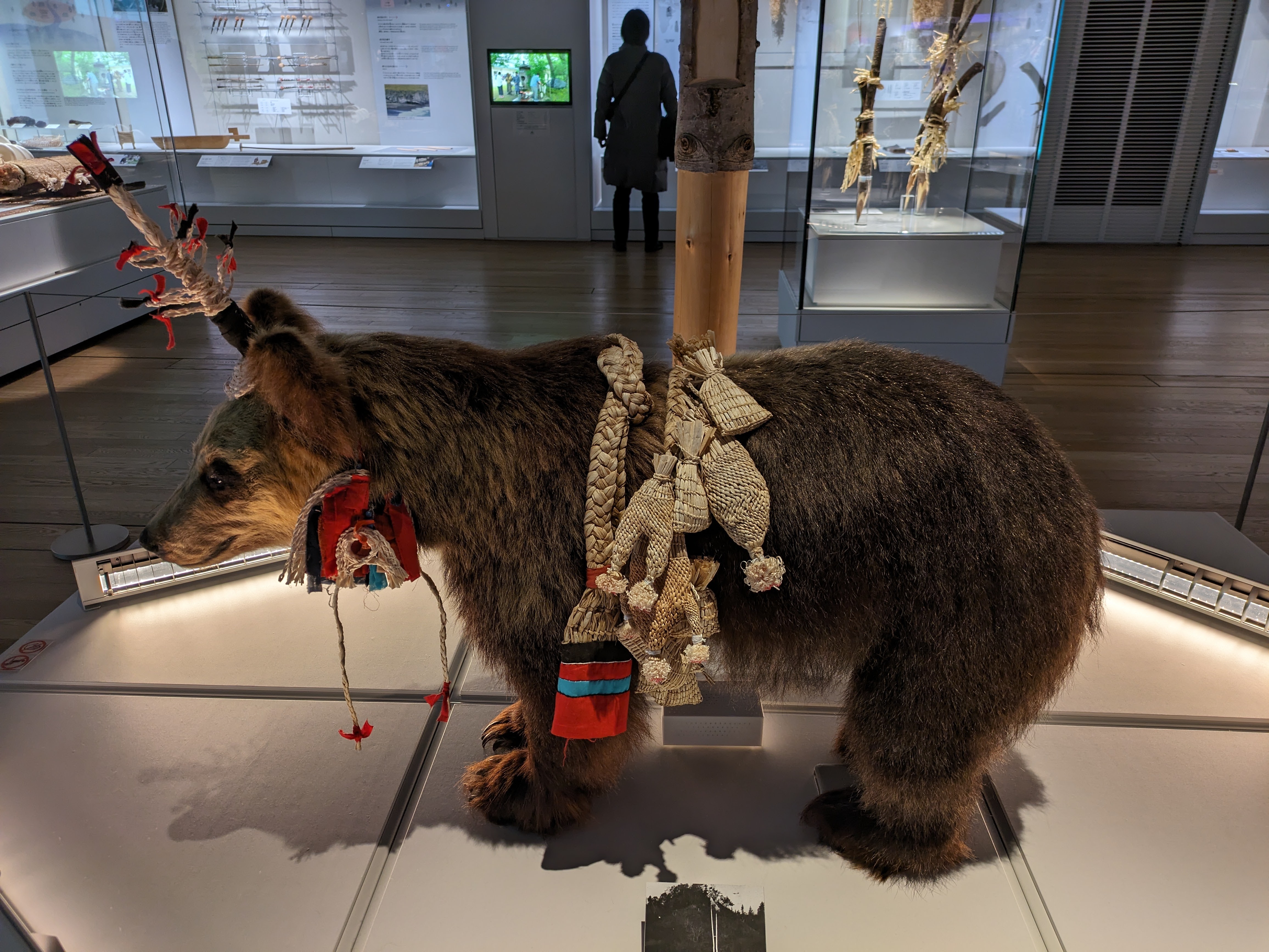 A taxidermy bear on diplay at Upopoy Museum in full iomante attire.