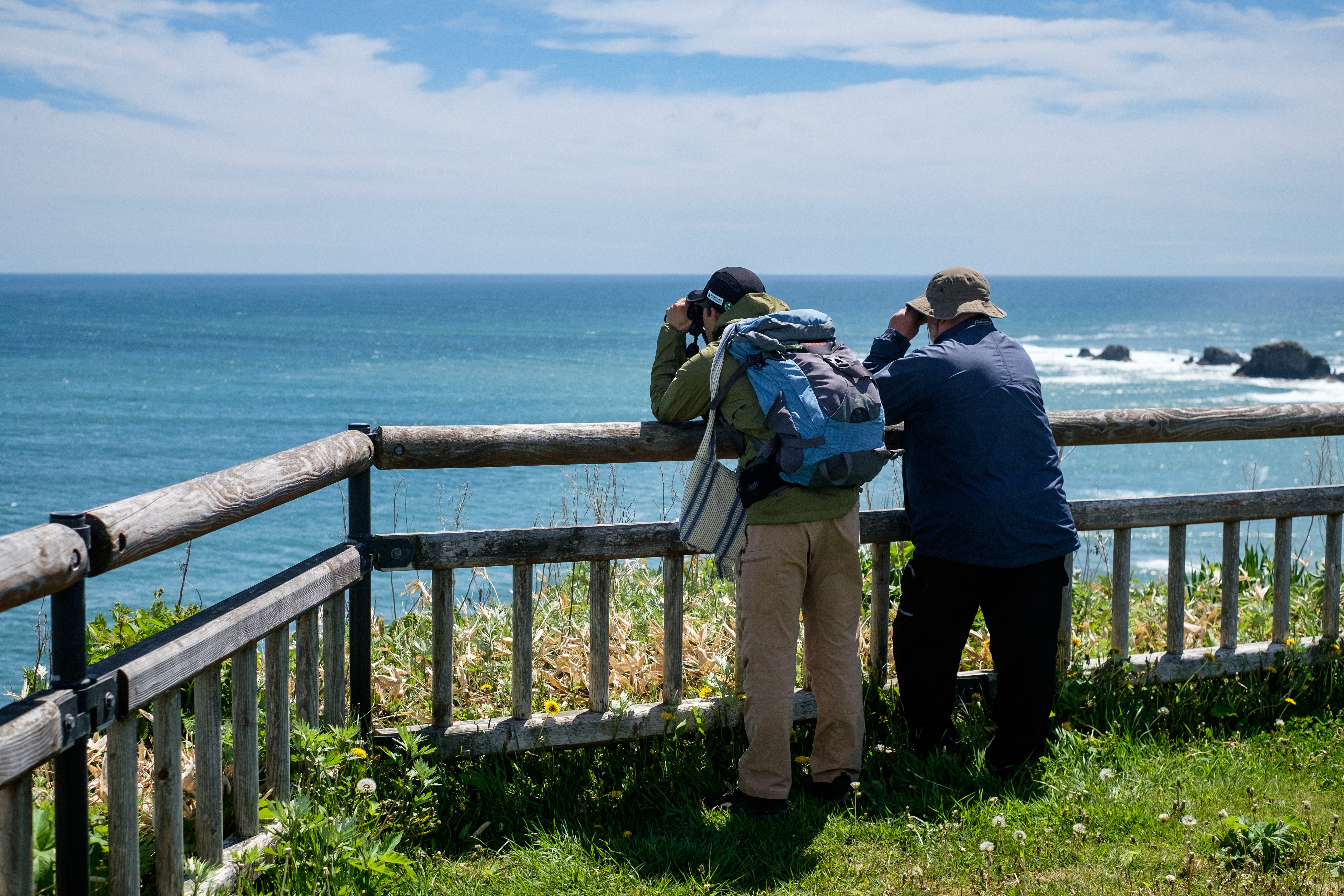 A guide and guest lean on a fence while using binoculars to scan for Sea Otter. The water is turquoise green.