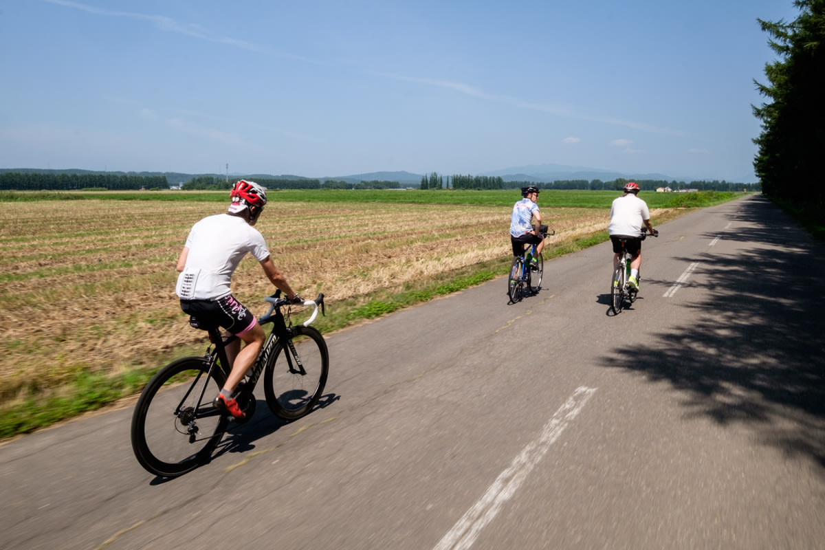 A group of cyclists ride alongside a cut field in the Tokachi Plains. They sky is blue and trees cast a shadow across the road.