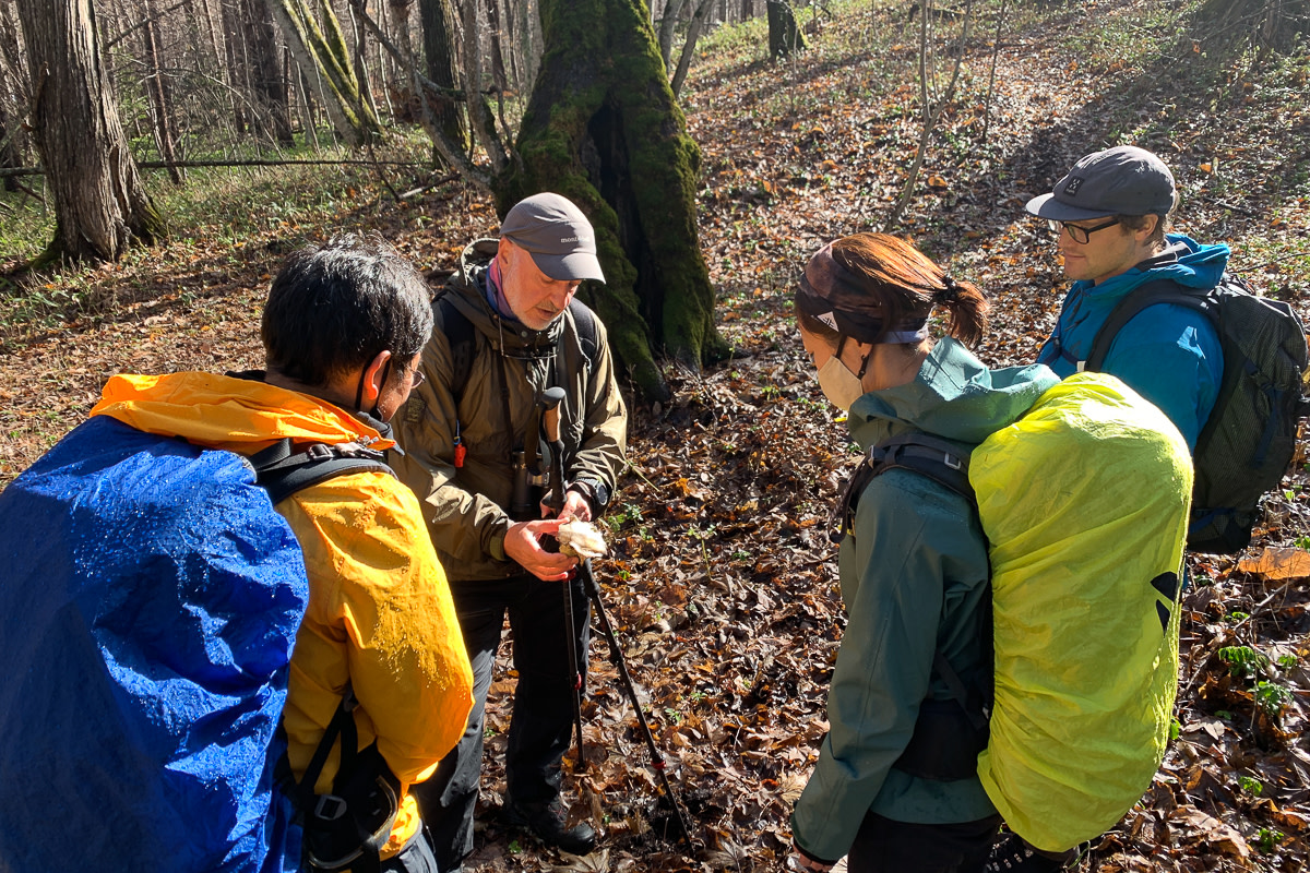 Discovering a deer skull on the Nibushi Trail