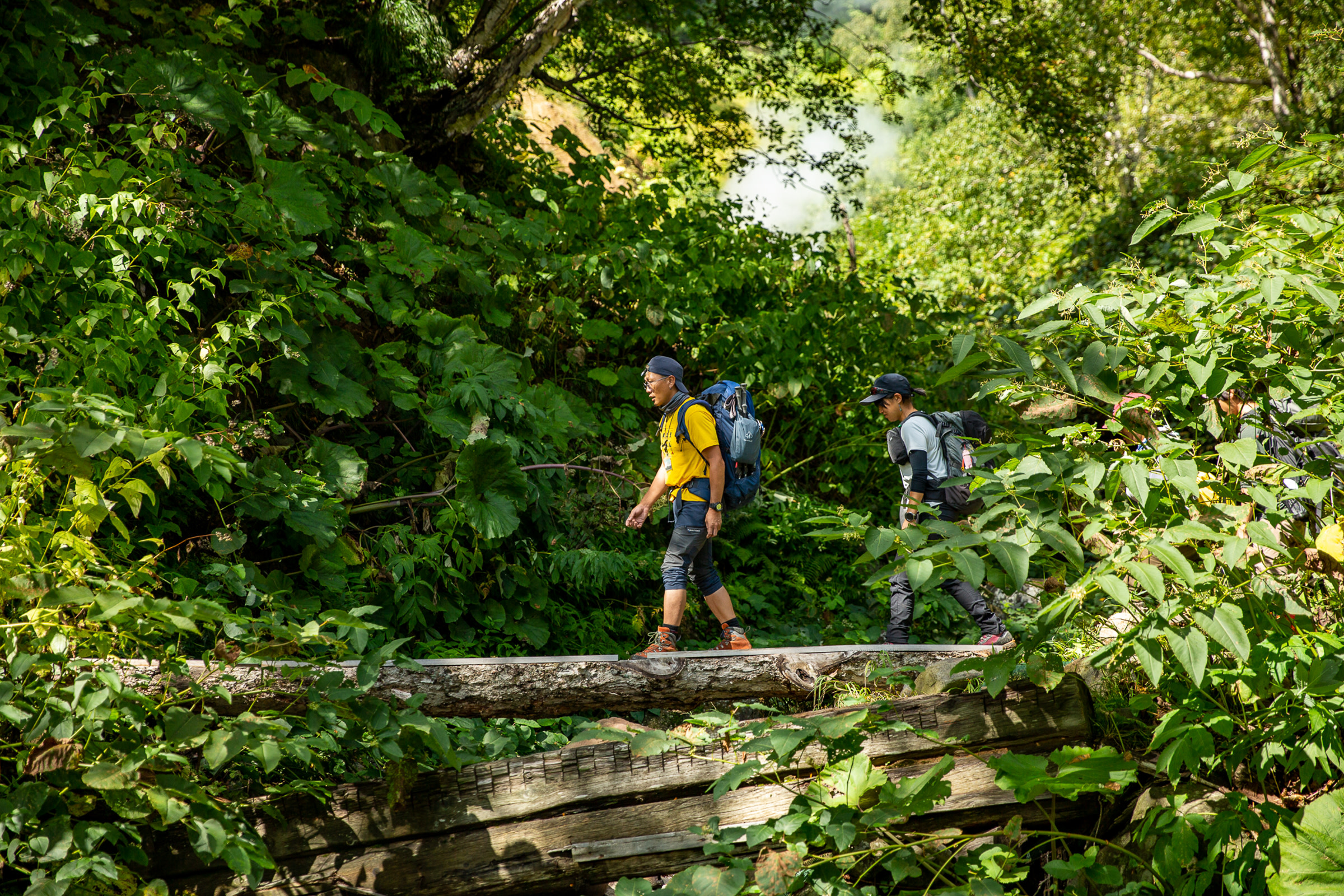 Hikers cross a stream over a log bridge at Kogen Numa.