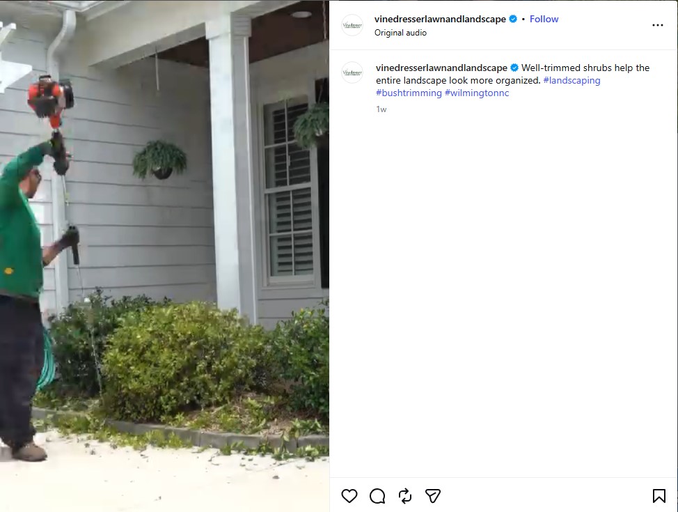 Service Spotlight Tips Post on Instagram by Vinedresser Lawn and Landscape
