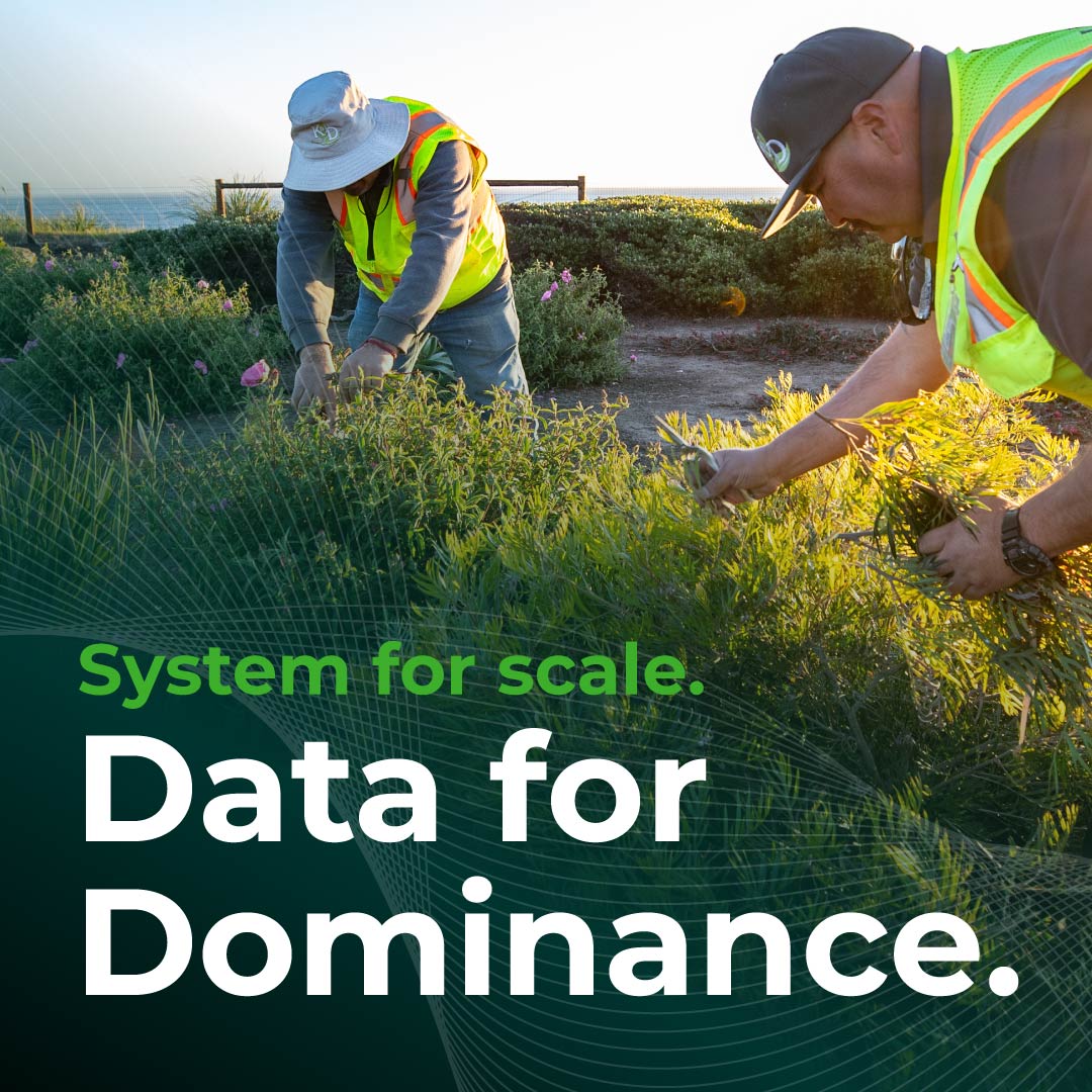 next level growth social media