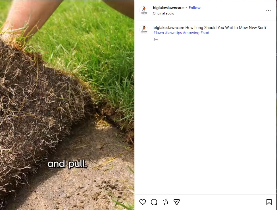 Educational "How-to" Post on Instagram by Big Lakes Lawncare