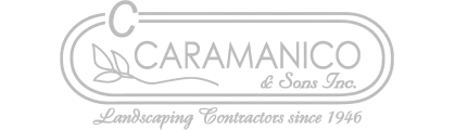 Logo | Carmanico & Sons | 419 px / 120 px | Gray