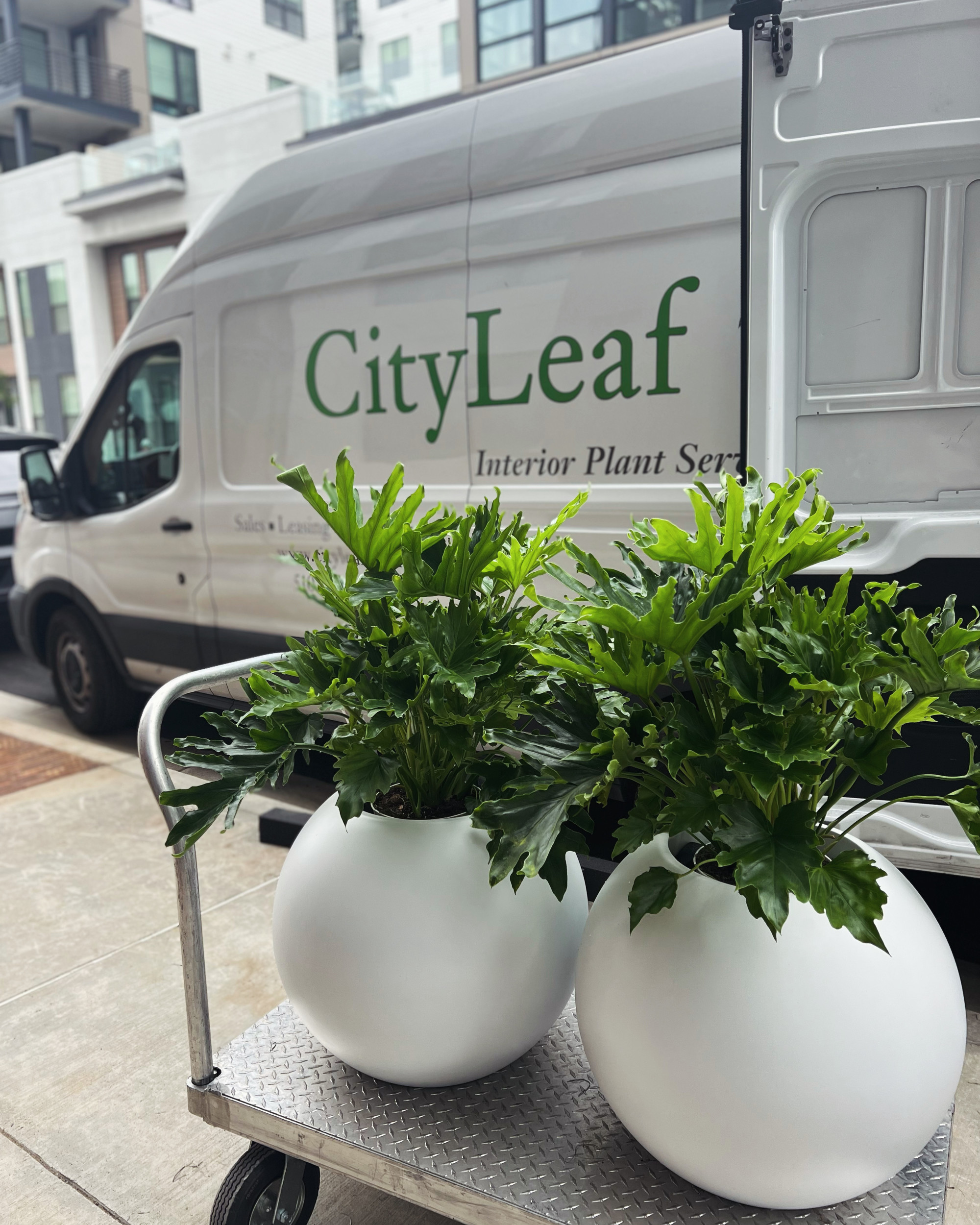 CityLeaf grows its unique interior landscaping business through job-costing insight and efficiency with Aspire