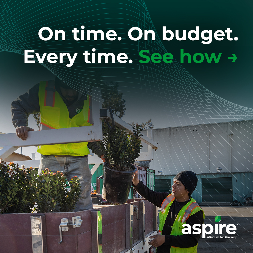 On time on budget every time