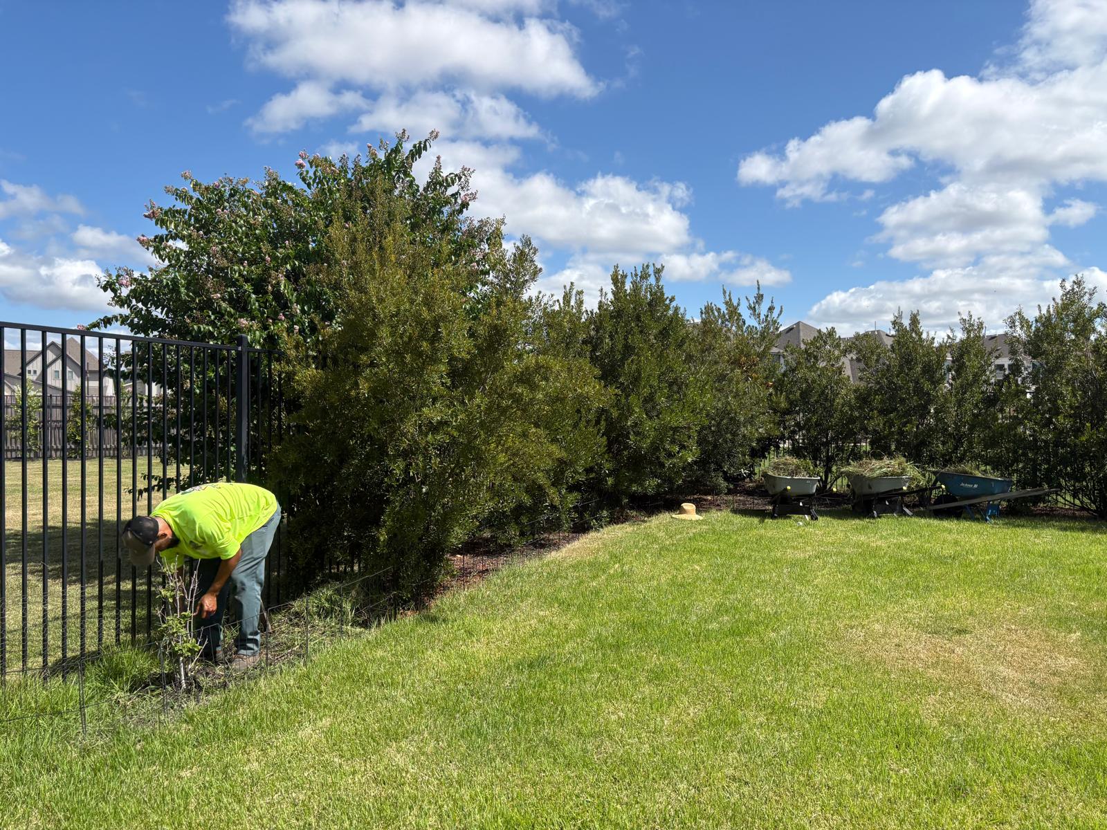 CTW Mowing image 03