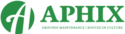 Logo | Aphix | Color
