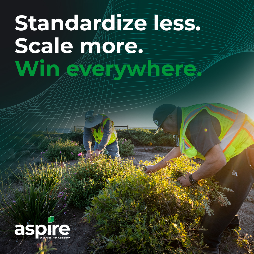 Standardize less scale more win everywhere