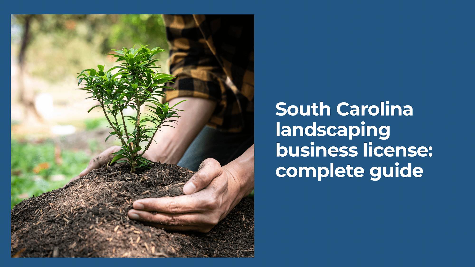 South Carolina Landscaping Business License: Complete Guide