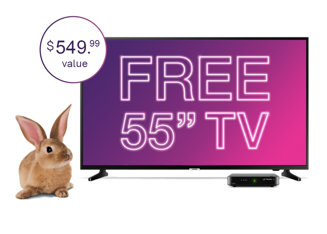 A 55” Samsung 4K HDR Smart TV with a bunny next to it.