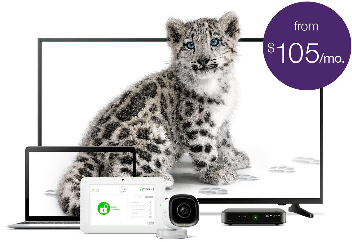 Build The Ideal Bundle For Your Home | TELUS