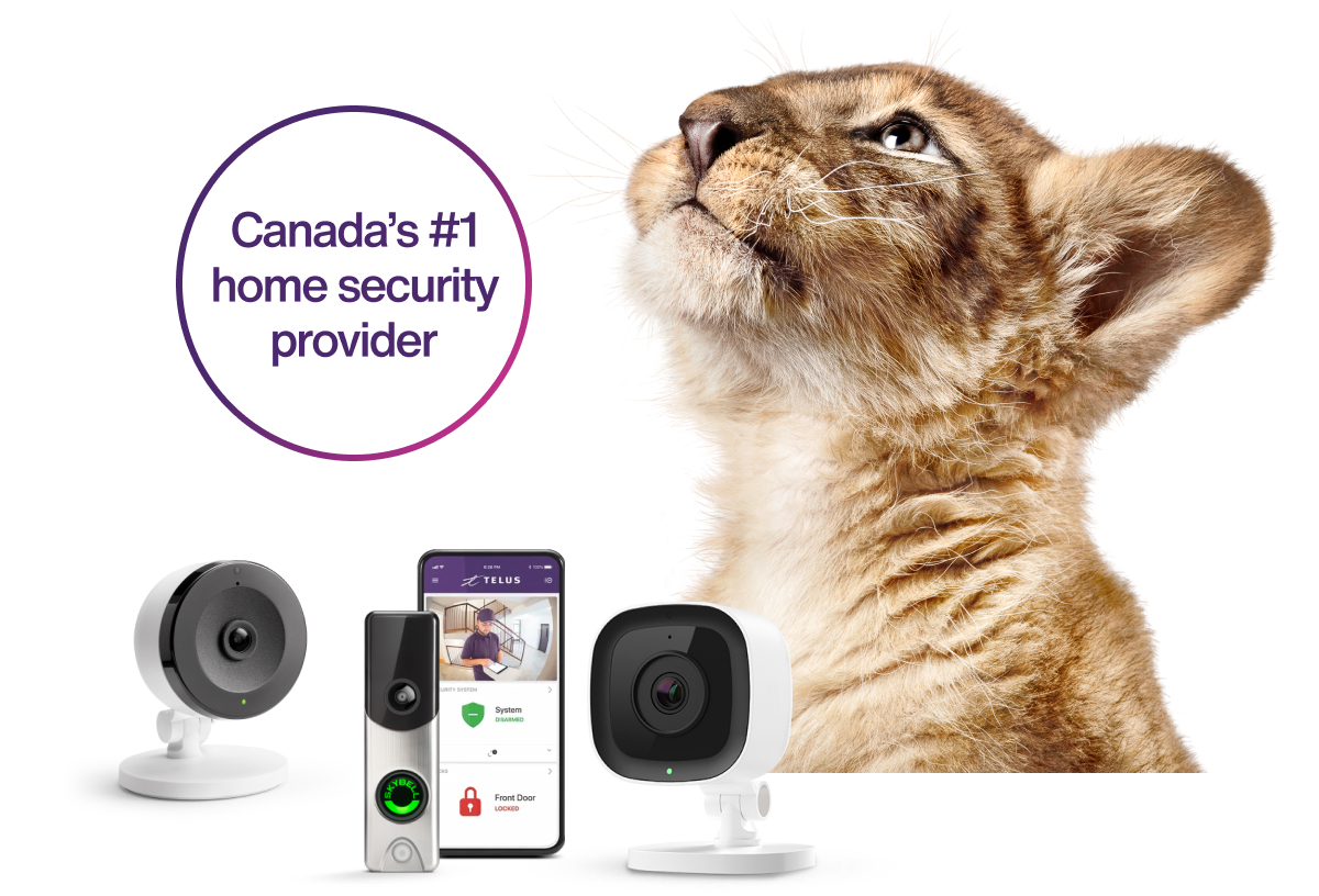 telus security camera recording