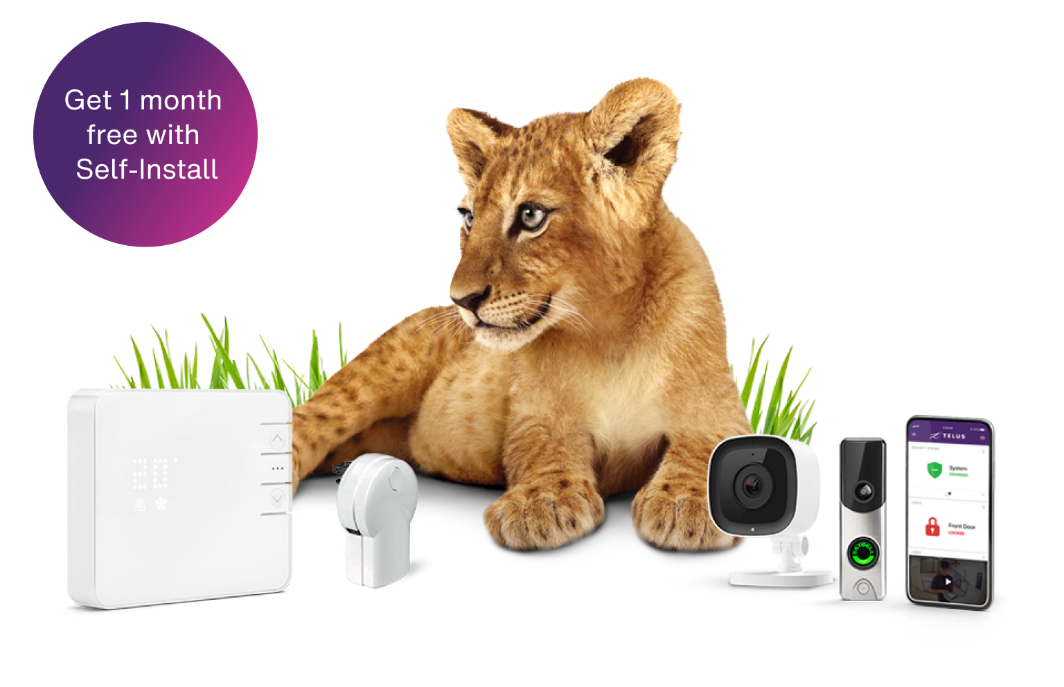 telus smarthome security