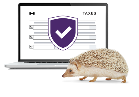 A laptop displays the tax form on the screen with a hedgehog walking next to it. 
