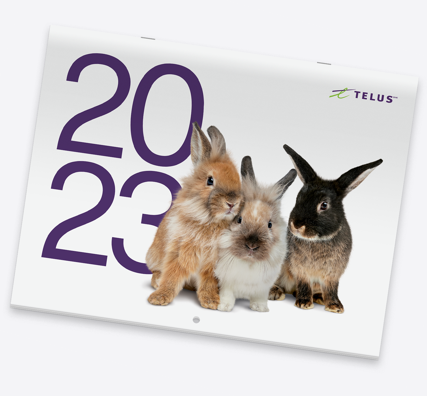 2023 TELUS Calendar | TELUS