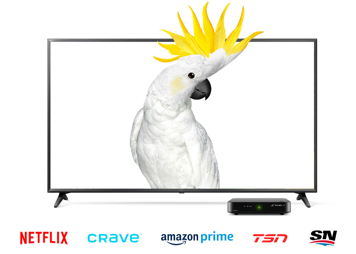 Free 4k Samsung 55 Smart Tv Tv Internet Bundles Telus