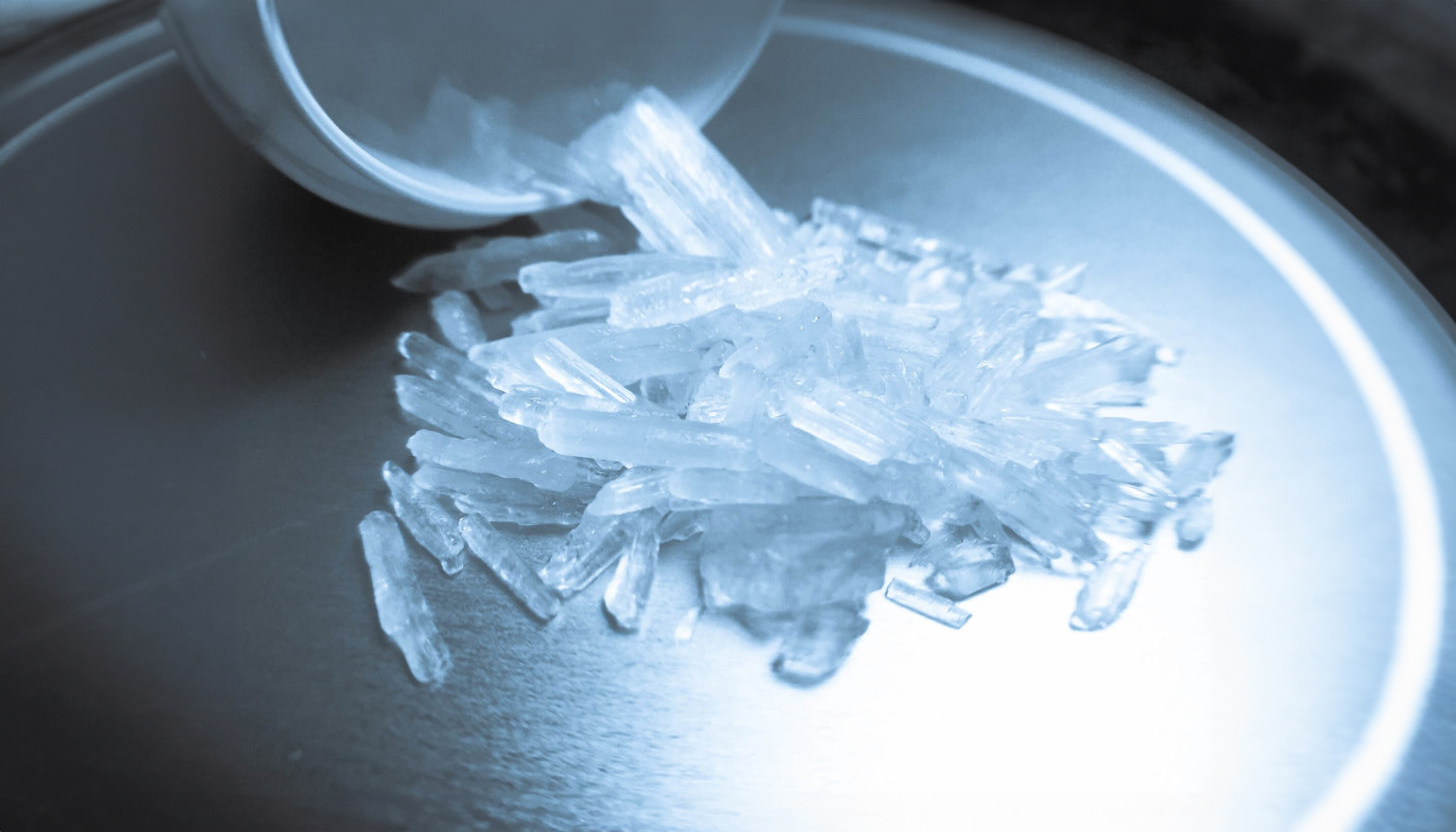 Methamphetamine Addiction Disorder