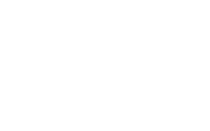 Logo: NY Life