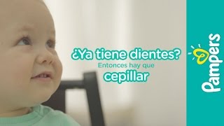 mqdefault