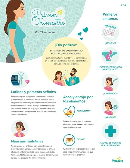 Guía para un embarazo consciente [Guide to a Conscious Pregnancy]: Todo lo  que necesitas saber para tomar las riendas de tu embarazo y del parto