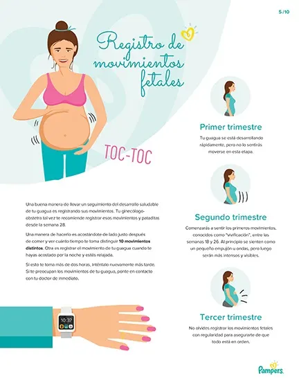 Guía para un embarazo consciente [Guide to a Conscious Pregnancy