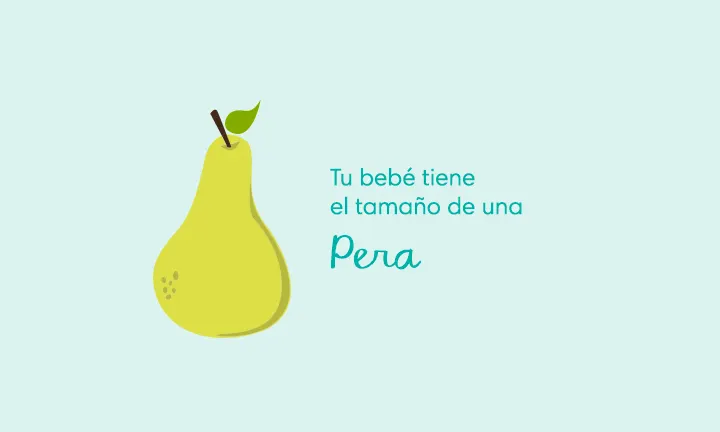 Your baby is the size of a pear