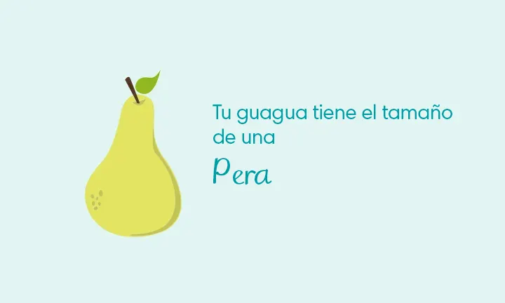 Your baby is the size of a pear