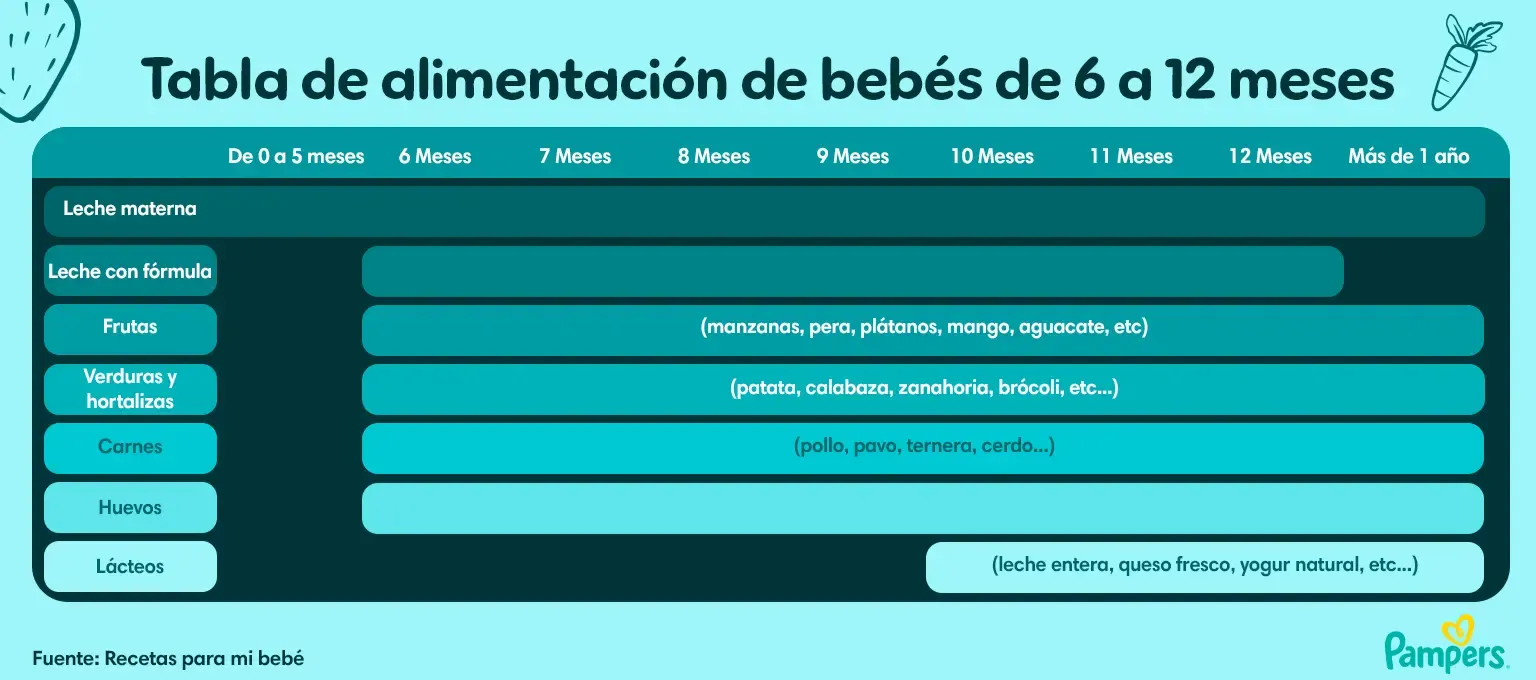 Tabla de alimentación para bebés de 6 a 12 meses