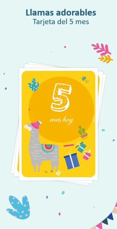 Tarjetas impresas para celebrar los 5 meses de tu bebé. Decoradas con alegres motivos que incluyen la adorable llama y una nota de celebración: ¡Hoy hace 5 meses!