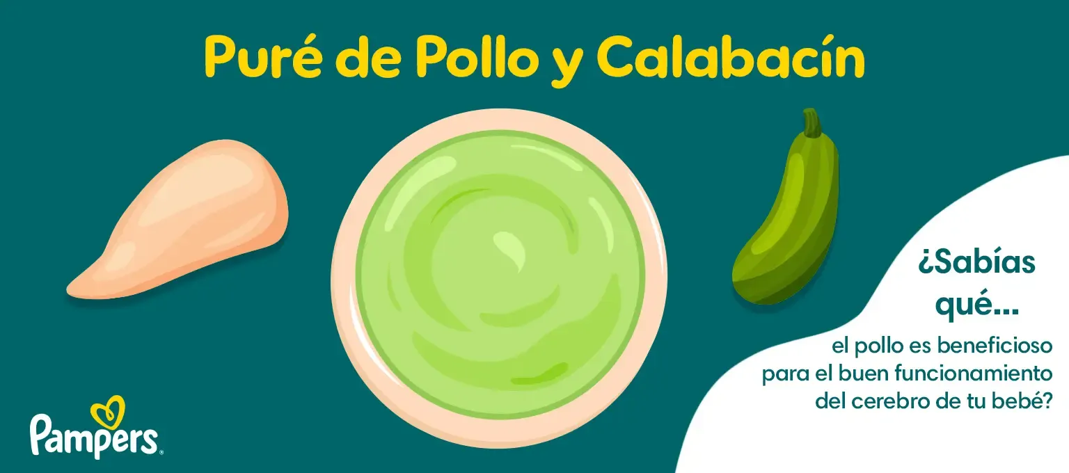 Puré de Pollo y Calabacín