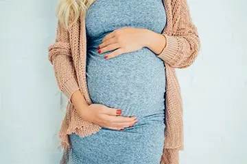 Pregnancy Calendar