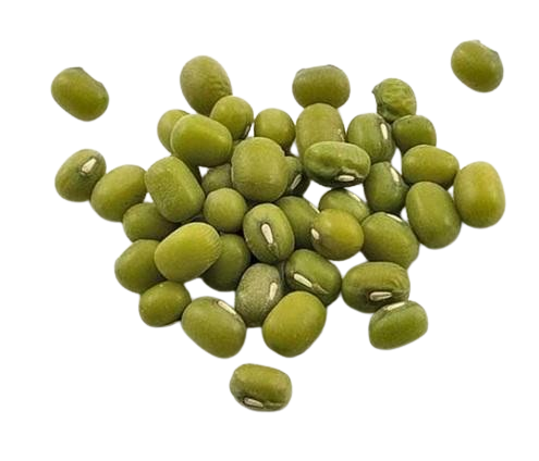 Kacang Hijau
