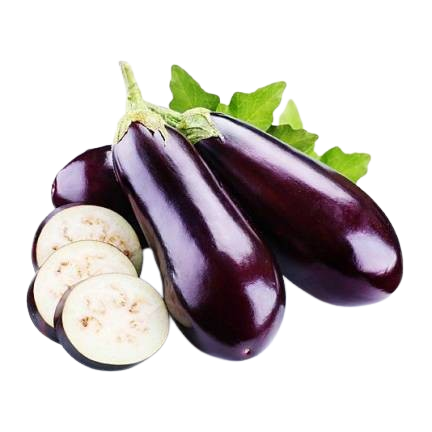Terong Ungu