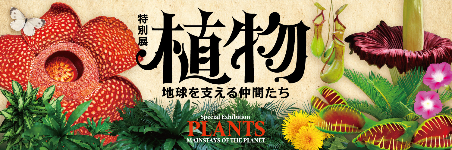 特別展「植物 地球を支える仲間たち」 | 光合成ファクトリー・花の