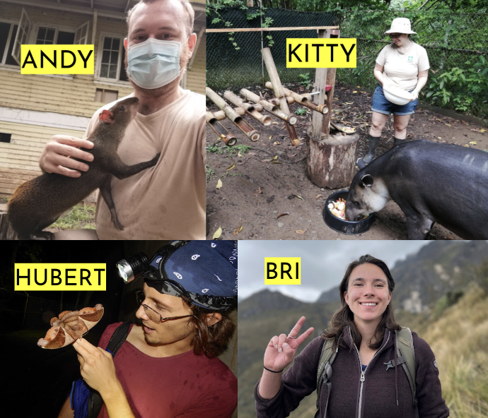 moth box crew