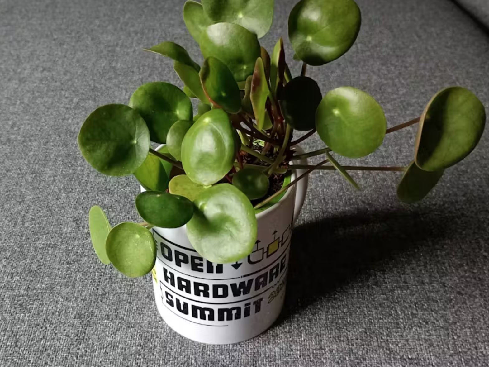 photo of the ohs2025 mug with a plant in it