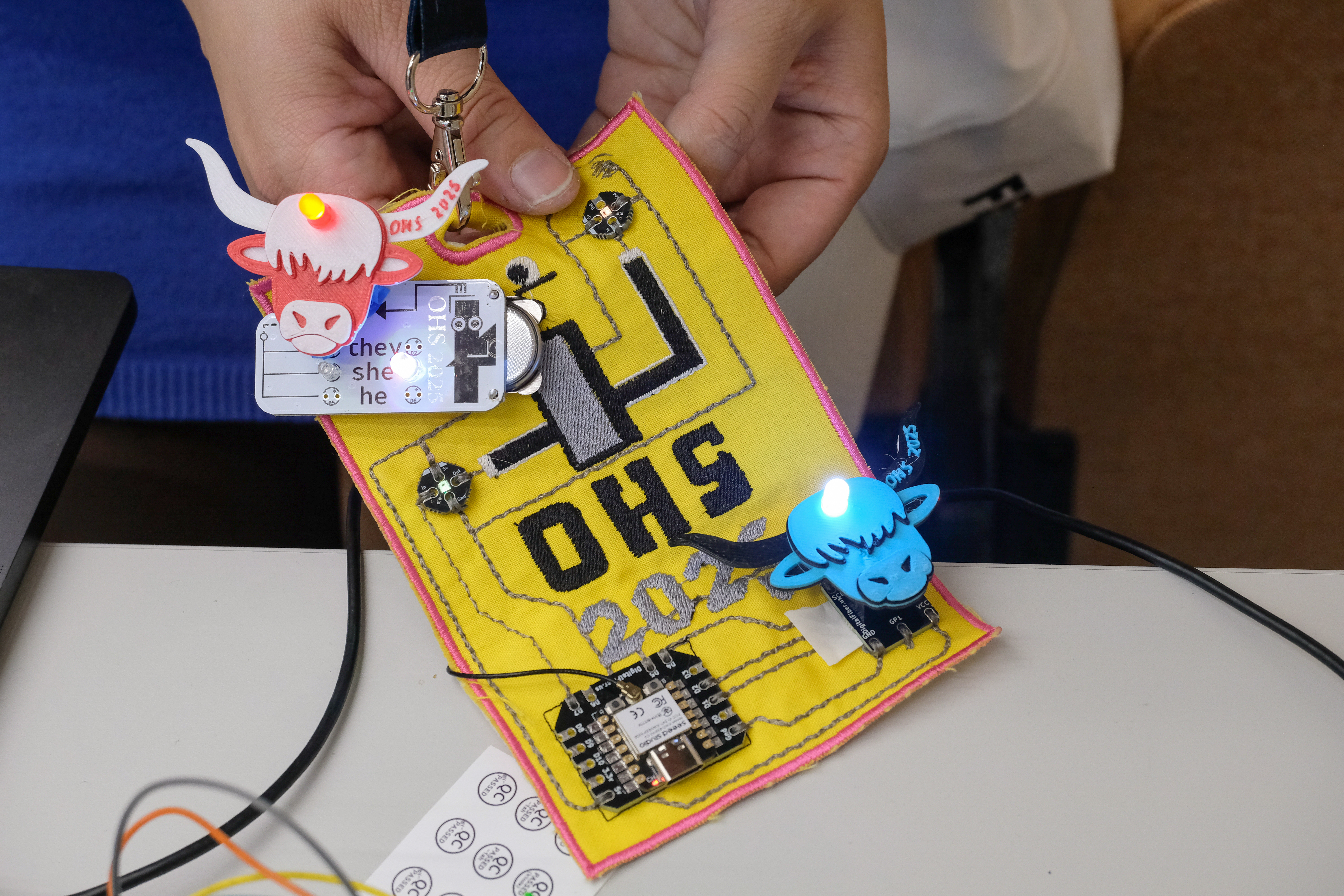 ohs2025 badge with highland cow SAO's