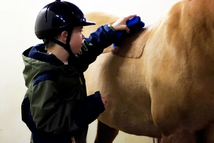 young boy wearing a helmet brushing a hourse