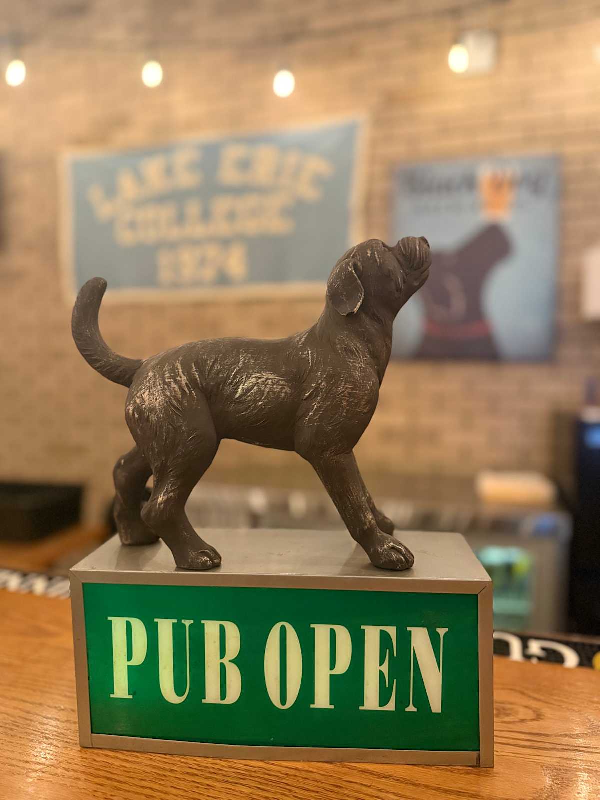 Alumni Happy Hour in Black Dog Tavern Lake Erie College