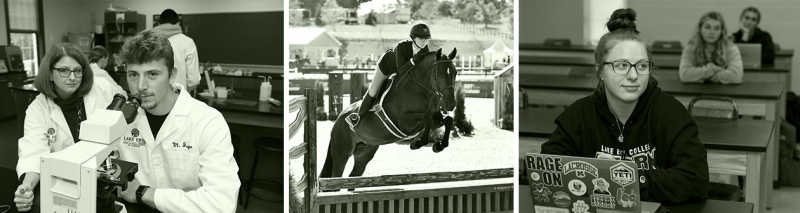 Photographs of various students in classroom settings, including our equine students and PA students. Photos are in black and gray. 