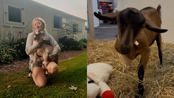 Left Photo: Abby Butcher, Right Photo: Zelda the Goat