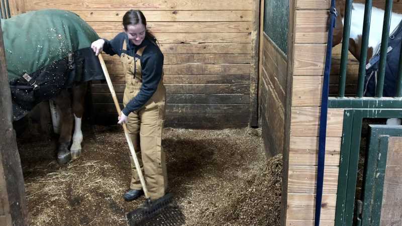 Haven Thompson cleans a stall at the EQ Center 