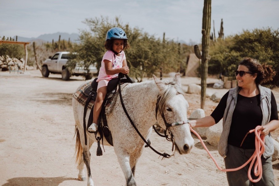 Pretty Horses Rescue 